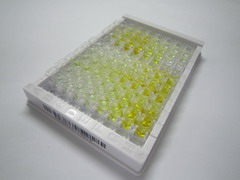 ELISA Kit for Epidermal Growth Factor (EGF)