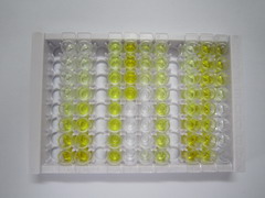 ELISA Kit for Interleukin 1 Beta (IL1b)