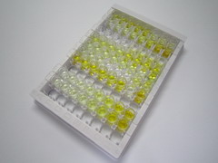 ELISA Kit for Parathyroid Hormone Related Protein (PTHrP)