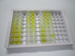 ELISA Kit for Complement Component 3 (C3)