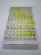 ELISA Kit for Cluster Of Differentiation 42b (CD42b)