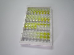 ELISA Kit for Clusterin (CLU)