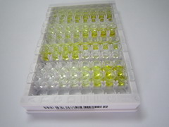 ELISA Kit for Clusterin (CLU)