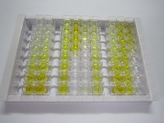 ELISA Kit for Presenilin 2 (PS2)