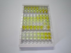 ELISA Kit for Killer Cell Immunoglobulin Like Receptor 3DL1 (KIR3DL1)