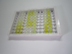 ELISA Kit for Tumor Necrosis Factor Ligand Superfamily, Member 13 (TNFSF13)