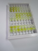 ELISA Kit for Tumor Necrosis Factor Ligand Superfamily, Member 13 (TNFSF13)