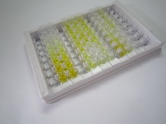 ELISA Kit for Ribonuclease A3 (RNASE3)