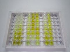 ELISA Kit for Orosomucoid 2 (ORM2)