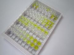 ELISA Kit for Mucin 7, Secreted (MUC7)