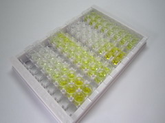 ELISA Kit for Apolipoprotein B48 (APOB48)