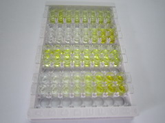 ELISA Kit for Angiotensin I Converting Enzyme 2 (ACE2)