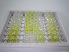 ELISA Kit for Apolipoprotein C3 (APOC3)