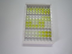 ELISA Kit for Aggrecan (AGC)