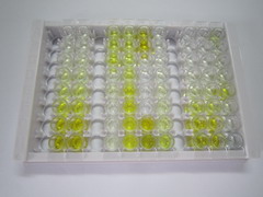 ELISA Kit for Syndecan 1 (SDC1)