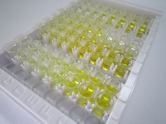 ELISA Kit for Pigment Epithelium Derived Factor (PEDF)