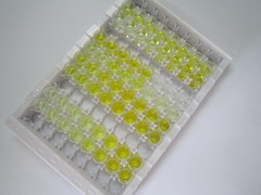 ELISA Kit for Interleukin 33 (IL33)