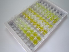 ELISA Kit for Apolipoprotein B (APOB)