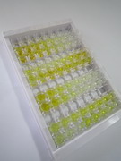 ELISA Kit for Interleukin 4 Receptor (IL4R)