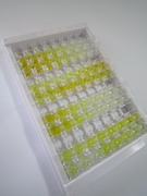 ELISA Kit for Interleukin 4 Receptor (IL4R)