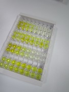 ELISA Kit for Transferrin (TF)