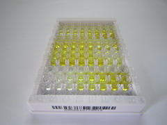 ELISA Kit for Occludin (OCLN)