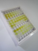 ELISA Kit for Ionized Calcium-binding Adapter Molecule 1 (IBA1)