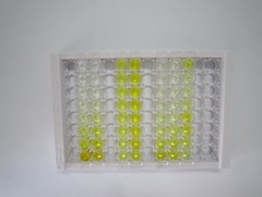 ELISA Kit for Antithrombin (AT)