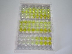 ELISA Kit for Aromatase (ARO)