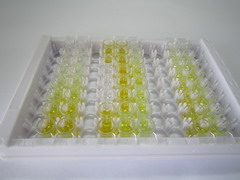 ELISA Kit for Endothelial Cell Specific Molecule 1 (ESM1)