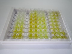 ELISA Kit for Glyoxalase I (GLO1)