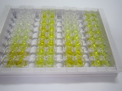 ELISA Kit for Natriuretic Peptide Receptor 1 (NPR1)