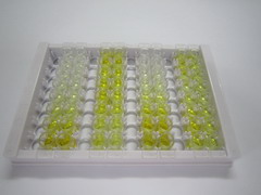 ELISA Kit for Podoplanin (PDPN)