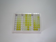 ELISA Kit for Tripeptidyl Peptidase I (TPP1)