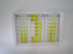 ELISA Kit for Myosin Binding Protein C, Cardiac (MYBPC3)