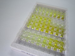 ELISA Kit for Troponin I Type 2, Fast Skeletal (TNNI2)