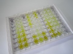 ELISA Kit for G Protein Coupled Receptor Kinase 5 (GRK5)