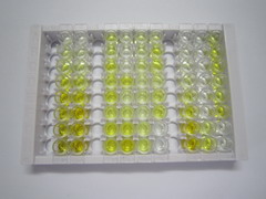 ELISA Kit for Tryptase Beta 2 (TPSb2)