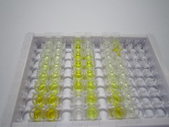 ELISA Kit for Arginase II (Arg2)