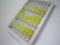 ELISA Kit for Tumor Necrosis Factor Ligand Superfamily, Member 9 (TNFSF9)