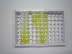 ELISA Kit for Protein Phosphatase 1, Regulatory Subunit 1B (PPP1R1B)