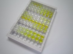 ELISA Kit for Ephrin B2 (EFNB2)