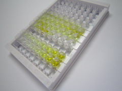 ELISA Kit for Defensin Beta 103A (DEFb103A)