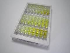 ELISA Kit for Solute Carrier Family 1, Member 5 (SLC1A5)