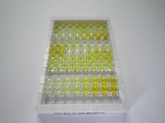 ELISA Kit for Anion/Sugar Transporter (AST)