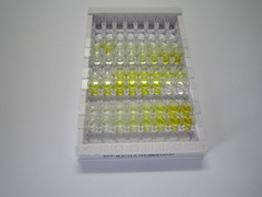 ELISA Kit for B-Cell CLL/Lymphoma 9 Like Protein (Bcl9L)