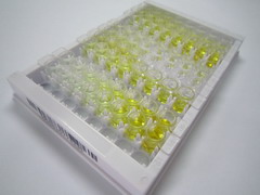 ELISA Kit for Histone Deacetylase 6 (HDAC6)