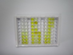 ELISA Kit for Carboxypeptidase N1 (CPN1)