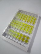 ELISA Kit for Telomeric Repeat Binding Factor 2 (TERF2)