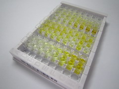 ELISA Kit for Transgelin 2 (TAGLN2)